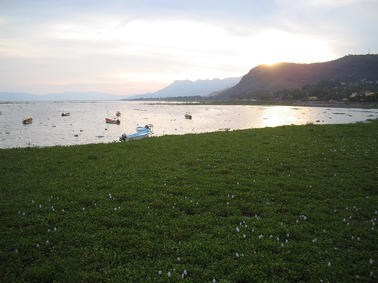 ทะเลสาบ Chapala Jalisco