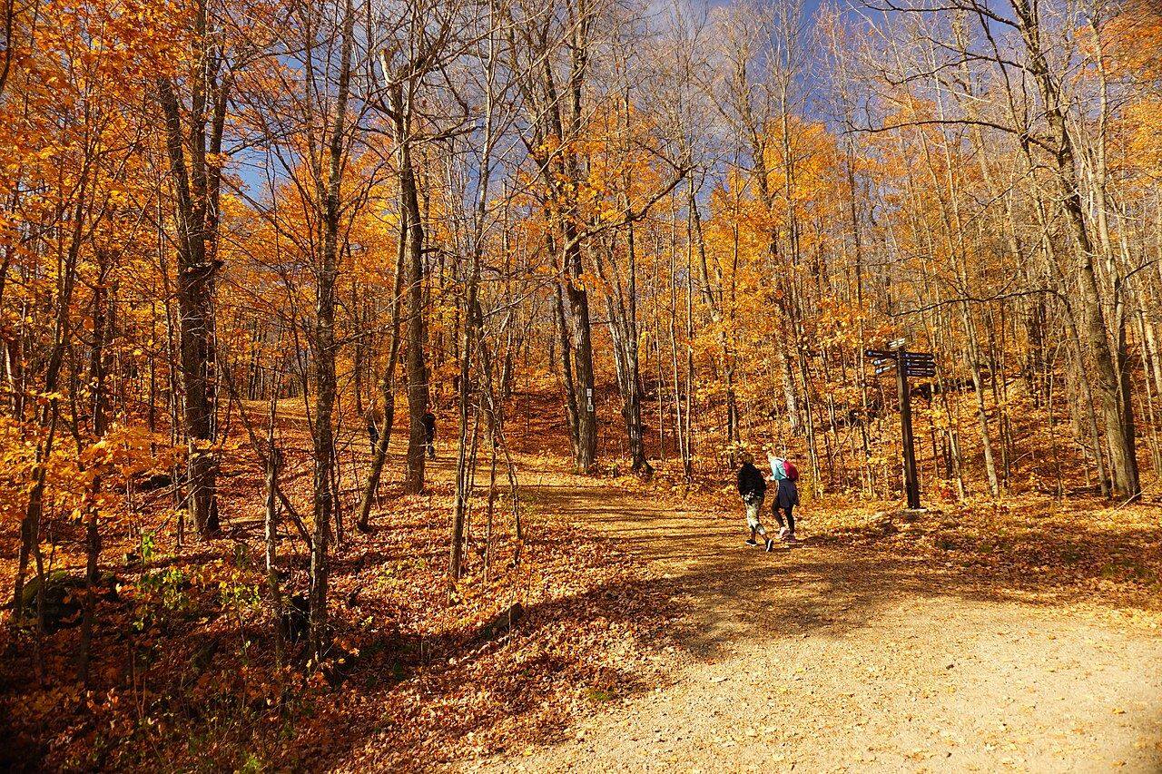 Gatineau Park ป่าธรรมชาติฝั่ง Quebec ใกล้ออตตาวา