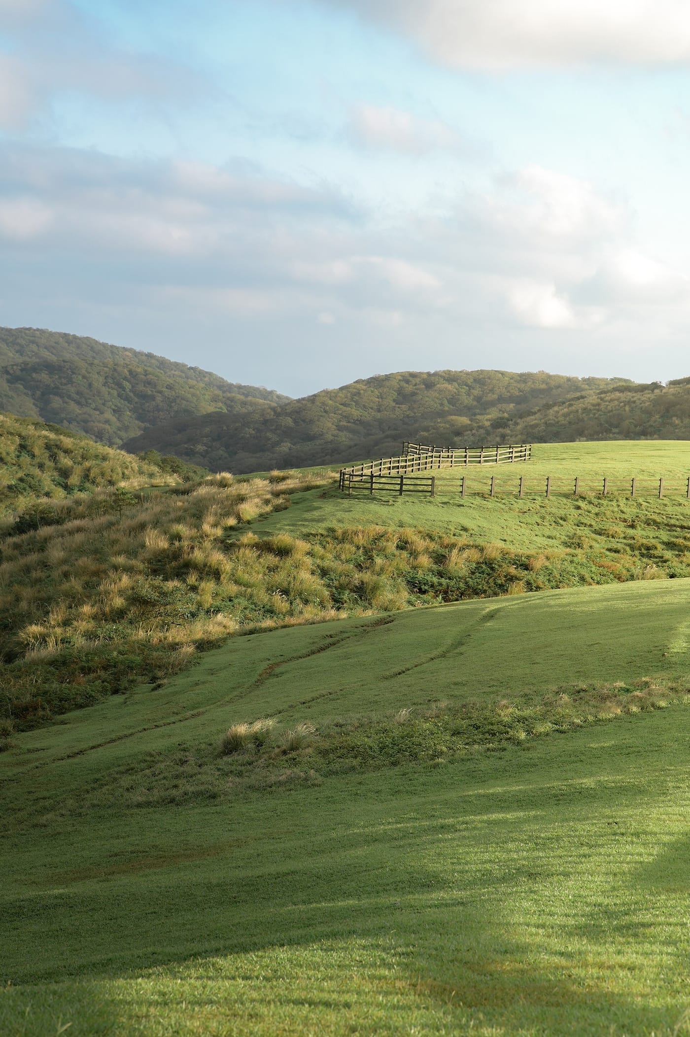 เขาสิบแปดยอด ซินจู๋ ดอกซากุระบานสีชมพูบนสันเขา ไต้หวัน