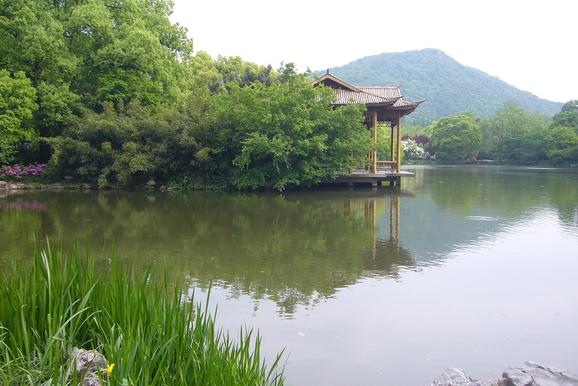 บึงซีซี หางโจว เรือไฟฟ้าลัดเลาะคลองน้ำท่ามกลางต้นไม้เขียวและกอกก