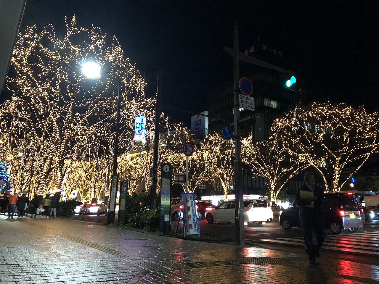 SENDAI Pageant of Starlight — ถนนโจเซ็นจิประดับไฟ LED สีขาวทองบนต้นเคยากิทุกต้น สว่างสุกสกาวยามกลางคืนฤดูหนาว