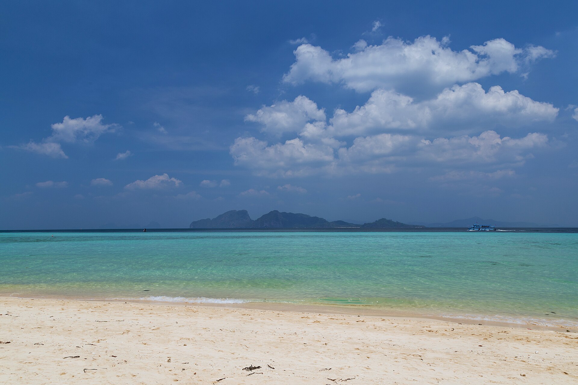 ตรัง