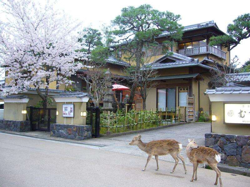 Kotonoyado Musashino