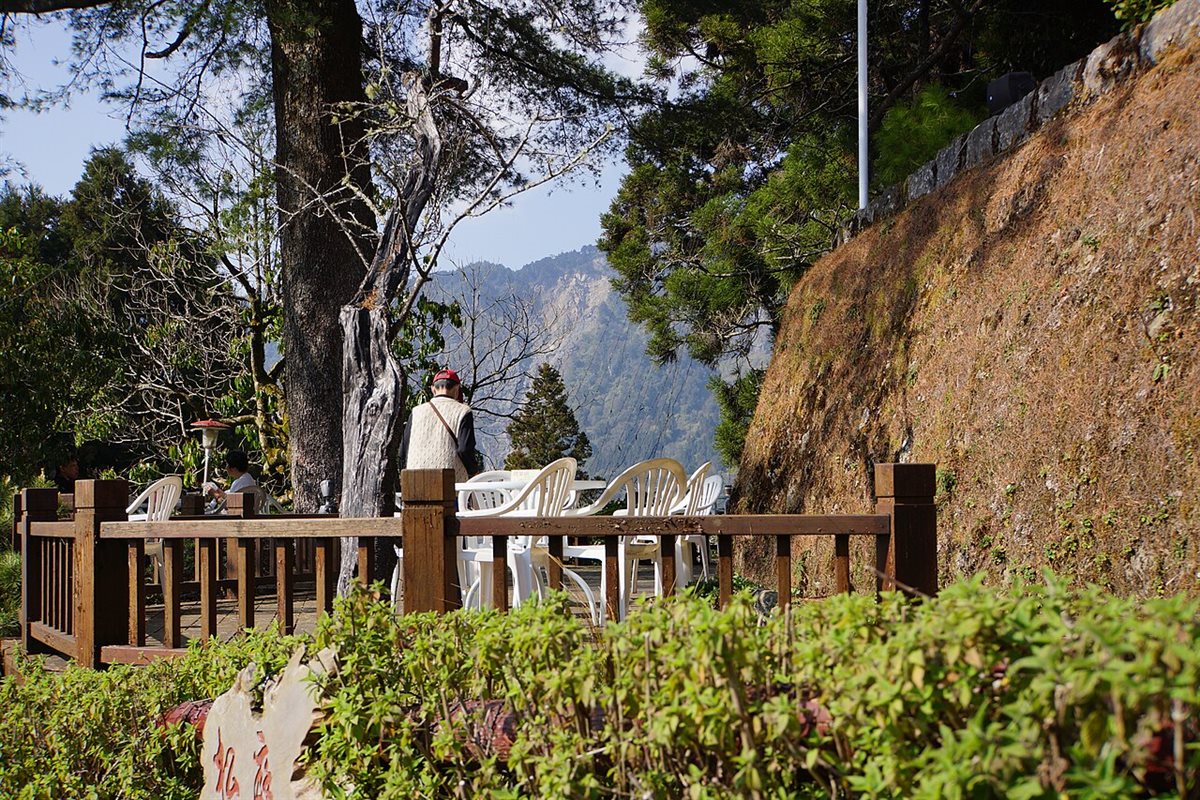 Alishan National Forest landscape surrounding Alishan Hotel