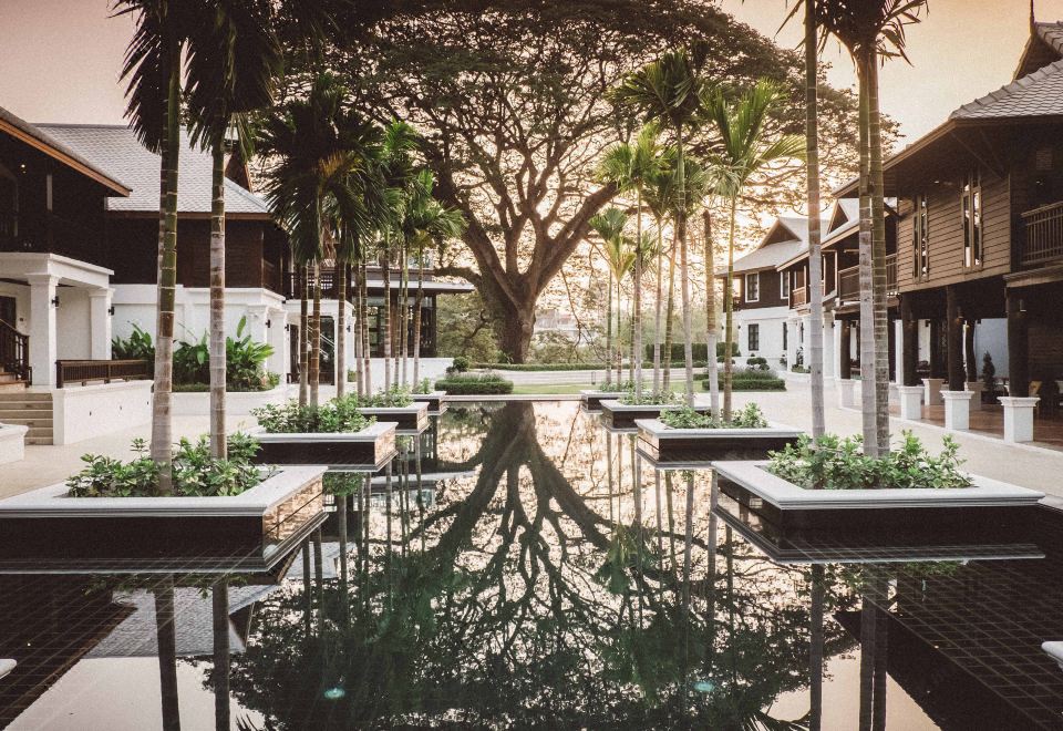 Garden courtyard at dusk with the century-old rain tree reflected