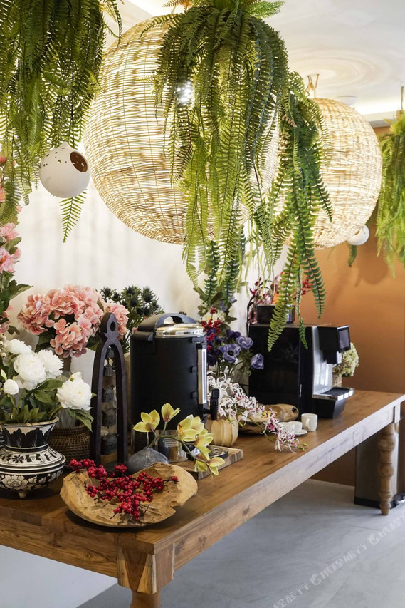 NORN Nimman13 lobby coffee station with hanging fern baskets