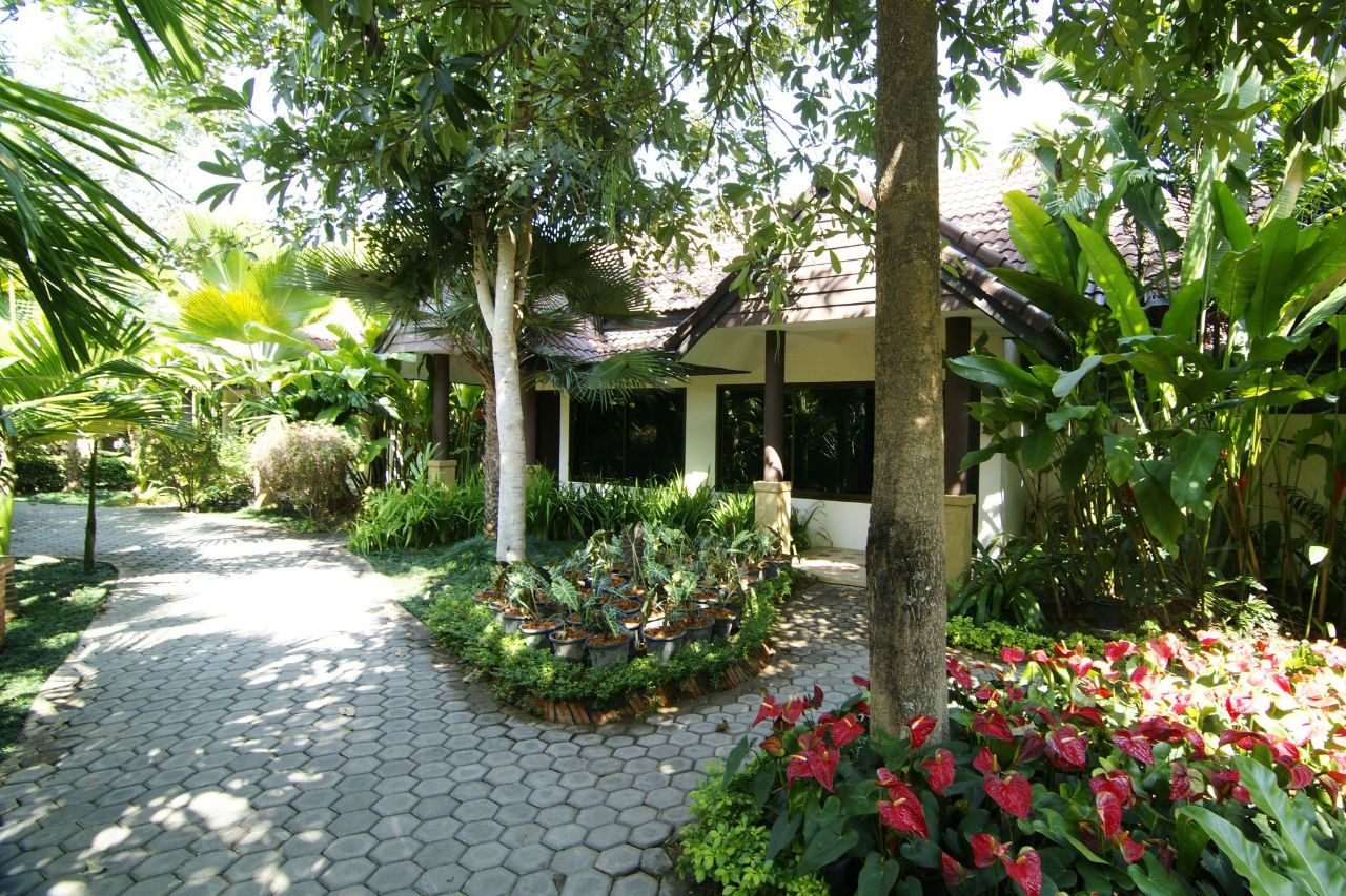 Tiled-roof bungalow in the tropical garden with a stone pathway and dense planting