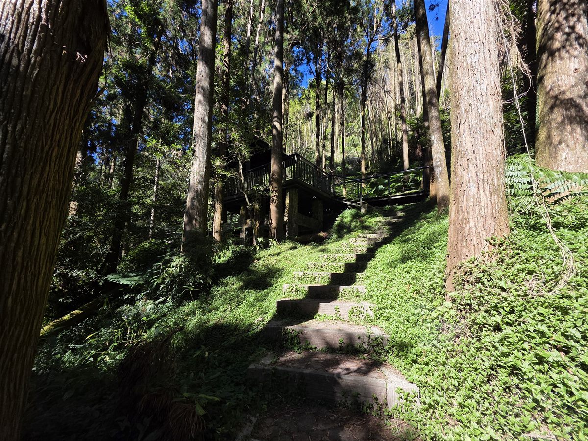 Mountain accommodation in the Alishan area