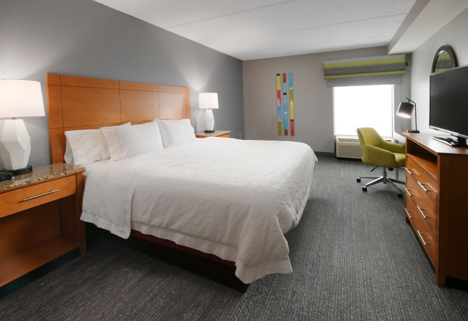 Hampton Inn & Suites Houston-Medical Center