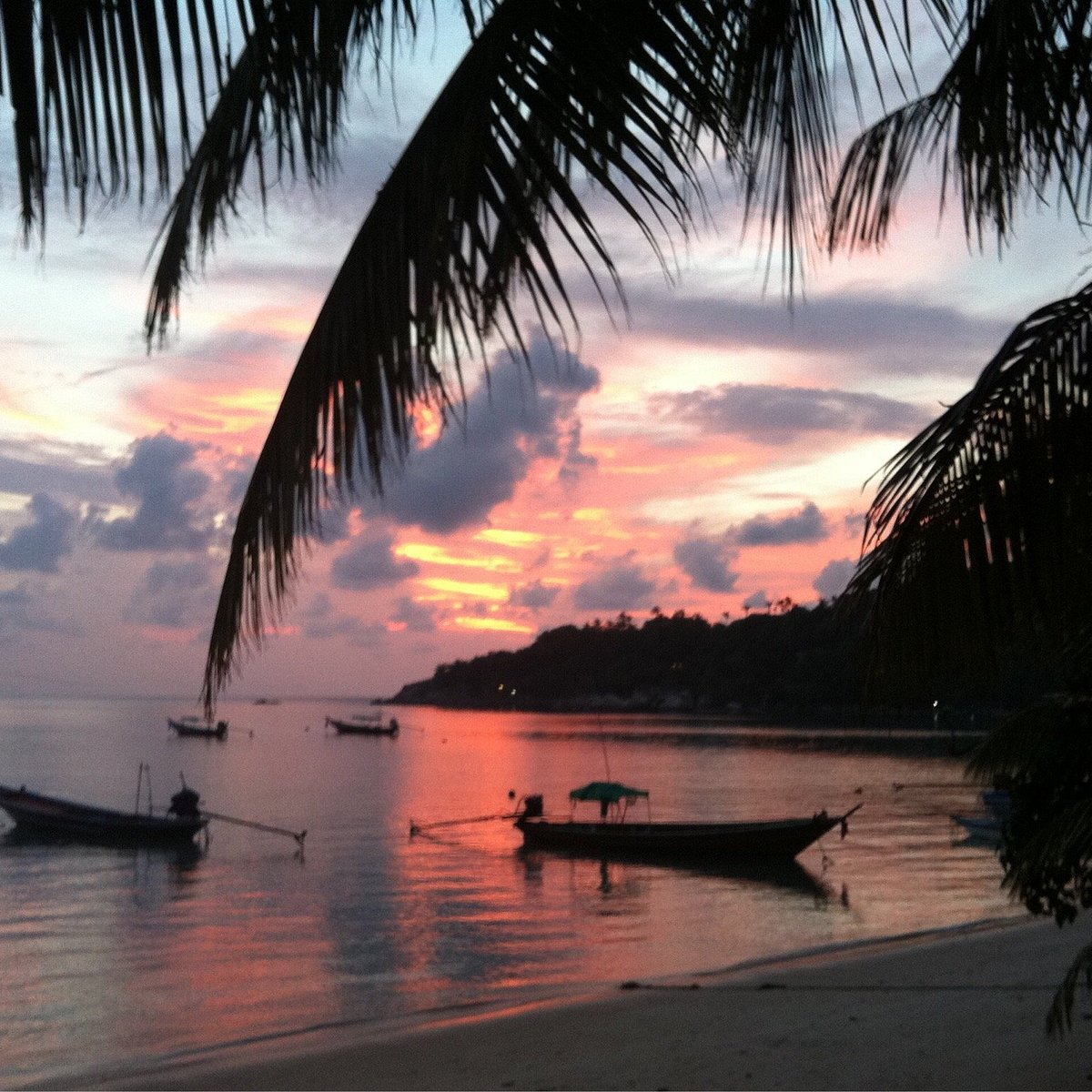 Pink sunset over Taa Toh Bay with longtail boats moored in the cove
