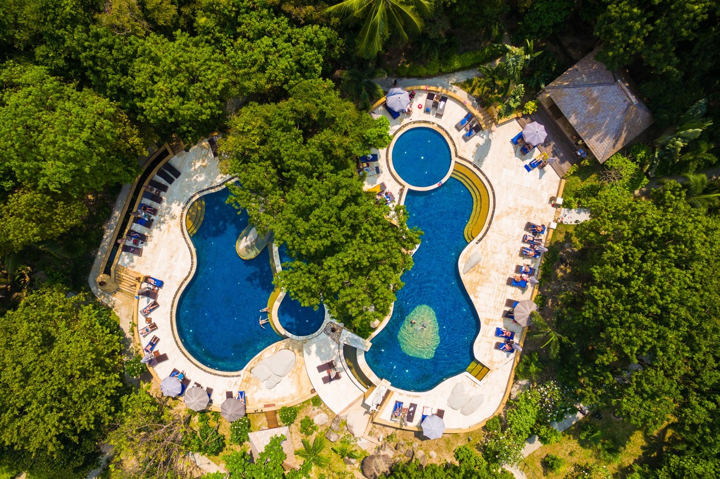 Aerial view of the two-tier jungle lagoon pool at Sensi Paradise Beach Resort