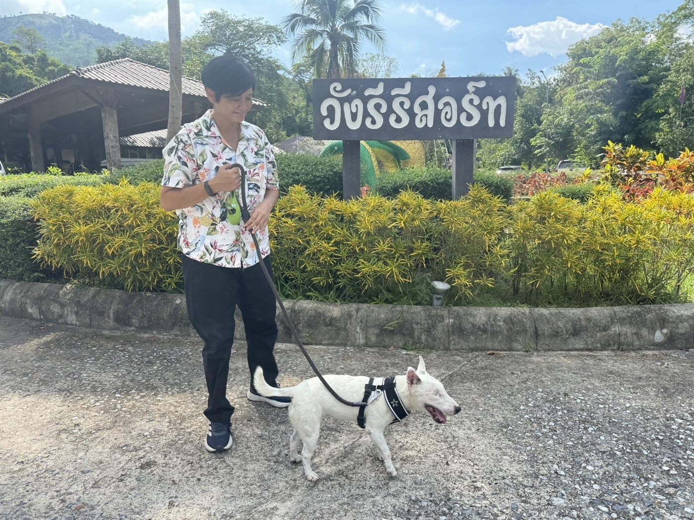 ป้ายทางเข้าวังรีรีสอร์ท มีแนวเขาเป็นฉากหลัง