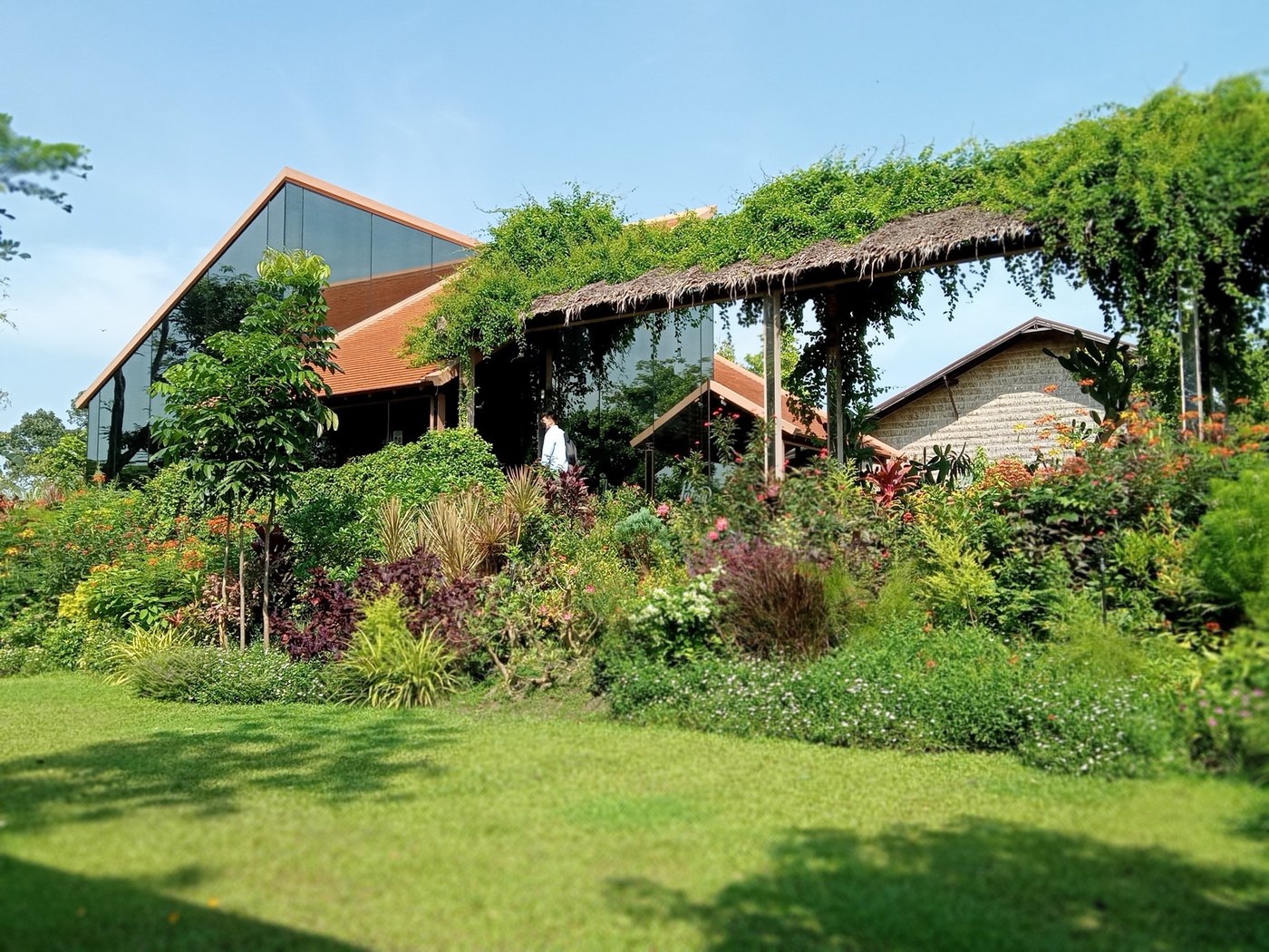 อาคาร Patom Organic Café หลังคาทรงไทยกลางสวนเขียว