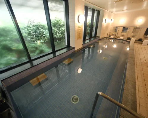 บ่อน้ำแร่สาธารณะ Hotel Nikko Nara