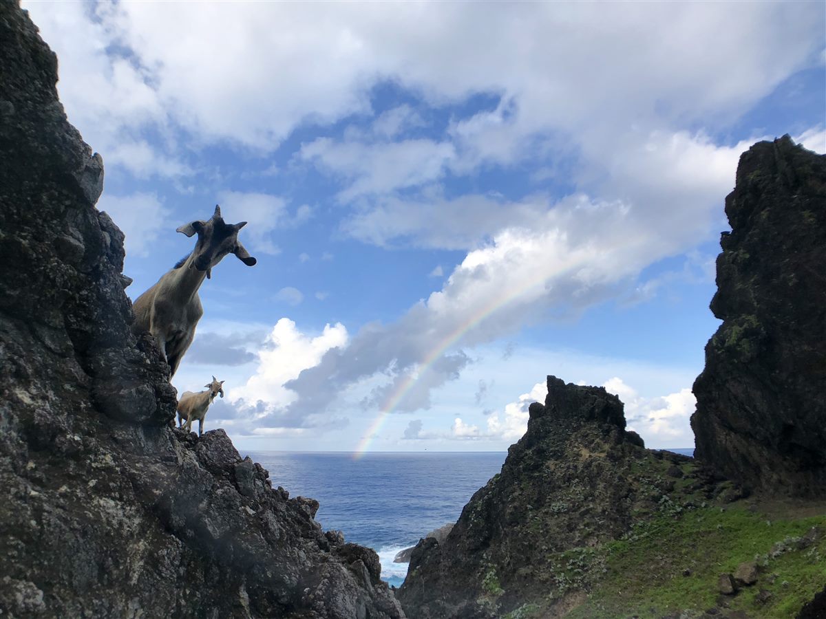 B'Fin Orchid Island