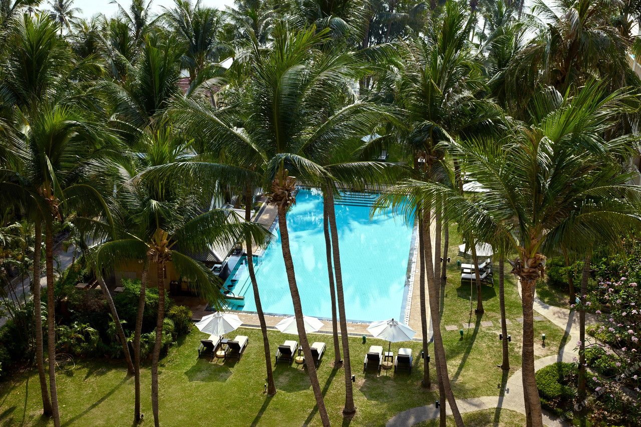 สระว่ายน้ำกลางสวนใต้ร่มมะพร้าวสูงที่ Dusit Thani Hua Hin ชะอำ