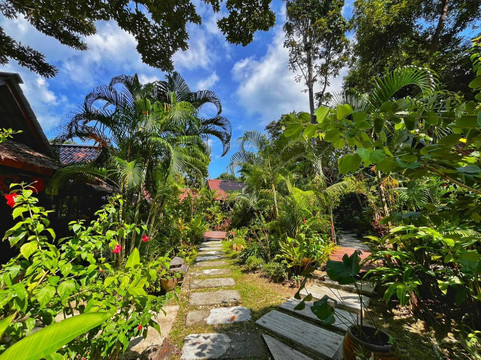ทางเดินในสวนเขียวร่มรื่นภายใน Ananya Lipe Resort