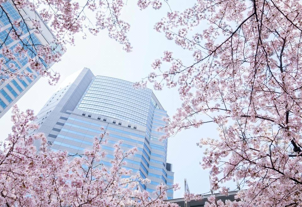 ห้องพัก The Strings by InterContinental Tokyo