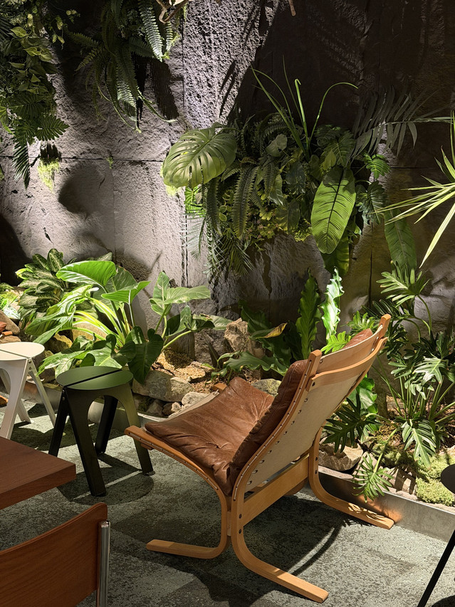 Oani basement lounge with massage chairs