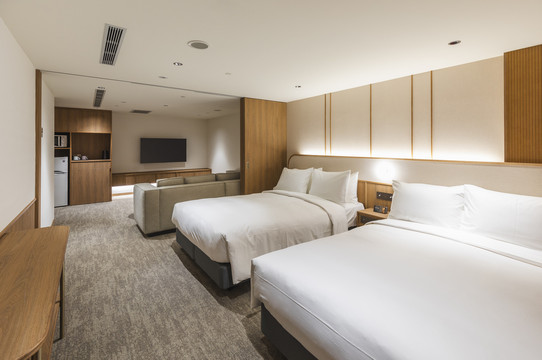 Deluxe Double room — work desk, minibar, TV, spacious layout