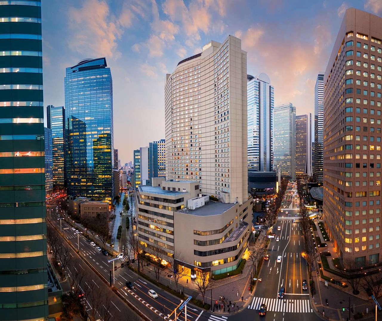 Hilton Tokyo (Shinjuku)
